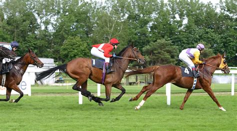 andrew mount tips|Andrew Mount .